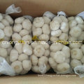 New Crop Pure White Garlic 250g Small Bag